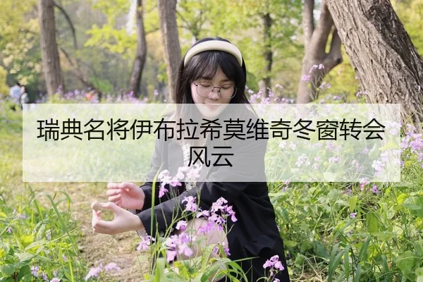 瑞典名将伊布拉希莫维奇冬窗转会风云